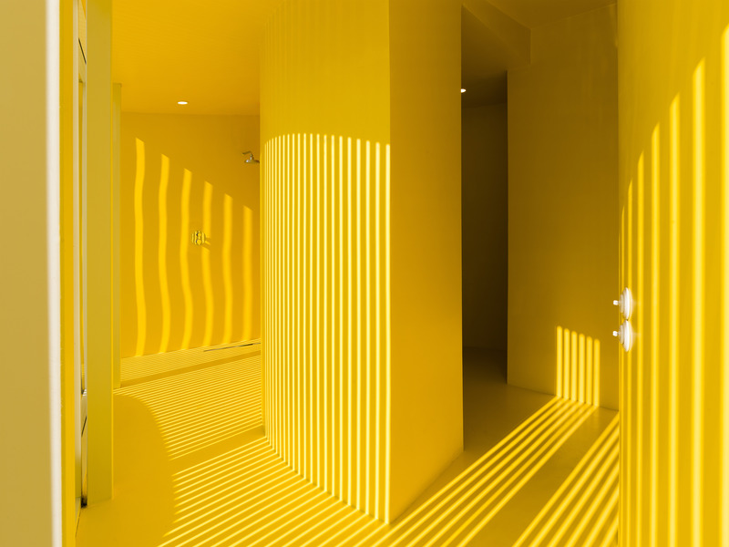 Dossier de presse | 2247-12 - Communiqué de presse | Yellow Pavilion 2024 - Maxim Kashin Architects - Architecture résidentielle - Crédit photo : Dmitry Chebanenko