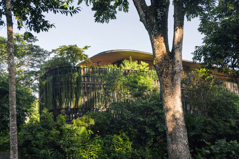 Press kit | 661-86 - Press release | Day One Winners of WAF 2024 International Architectural Awards Announced - World Architecture Festival (WAF) - Competition - Completed Buildings - Touching Eden House by Wallflower Architecture + Design - Photo credit: Finbarr Fallon