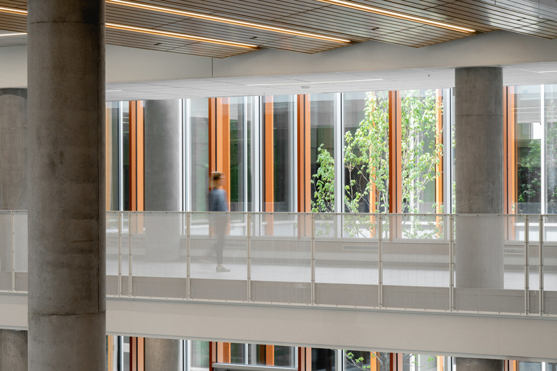 Press kit | 1387-14 - Press release | Adaptable, Sustainable and Inclusive: Two New High Schools Rethink the Learning Environment for Montreal Students - TLA+UN+NEUF - Institutional Architecture -   <p class="">Pedestrian bridge across the atrium and inner courtyard – Aux Mille-Voix high school</p>   - Photo credit: Raphaël Thibodeau