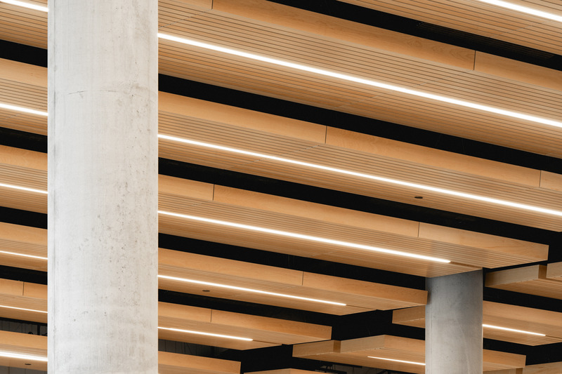 Press kit | 1387-14 - Press release | Adaptable, Sustainable and Inclusive: Two New High Schools Rethink the Learning Environment for Montreal Students - TLA+UN+NEUF - Institutional Architecture -  Acoustic wood slat ceiling in the atrium and auditorium – Irma-LeVasseur high school  - Photo credit: Raphaël Thibodeau