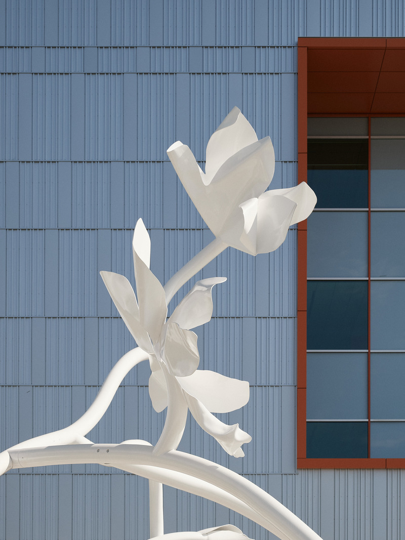 Press kit | 1387-14 - Press release | Adaptable, Sustainable and Inclusive: Two New High Schools Rethink the Learning Environment for Montreal Students - TLA+UN+NEUF - Institutional Architecture -  Detail of one of the school's artworks, Crinoïdes, de Marie-Michelle Deschamps – Irma-LeVasseur high school  - Photo credit: Maxime Brouillet