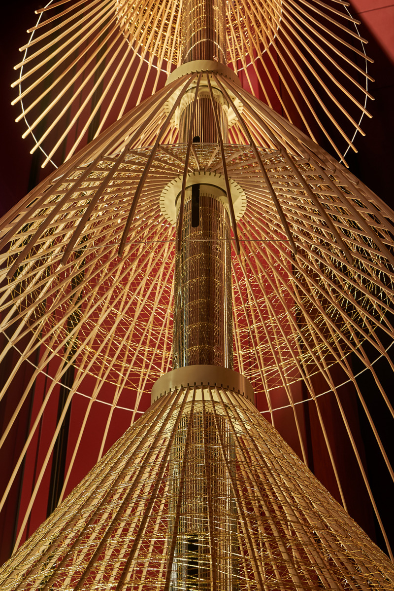 Dossier de presse | 5830-02 - Communiqué de presse | L’œuvre de HAKUTEN, « La beauté intérieure », remporte le prix de la Vitrine de l’année aux FRAME Awards 2024 - Hakuten Corporation - Art - Image of Tree from below - Crédit photo : Masayuki Hayashi