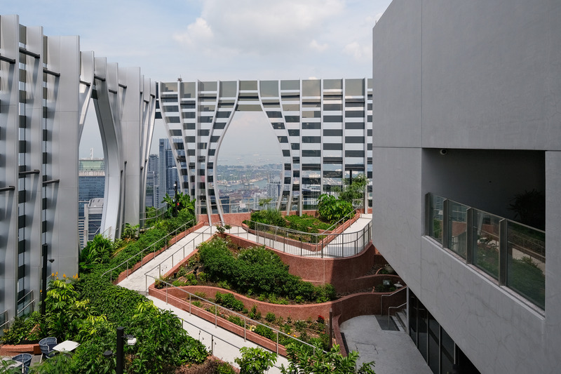 Dossier de presse | 6357-02 - Communiqué de presse | RSP Celebrates Multiple Award Wins in 2024 with Two Projects Honoured at Prix Versailles - RSP - Architecture institutionnelle - Sky Garden overlooking Singapore skyline at CapitaSpring - Crédit photo : RSP