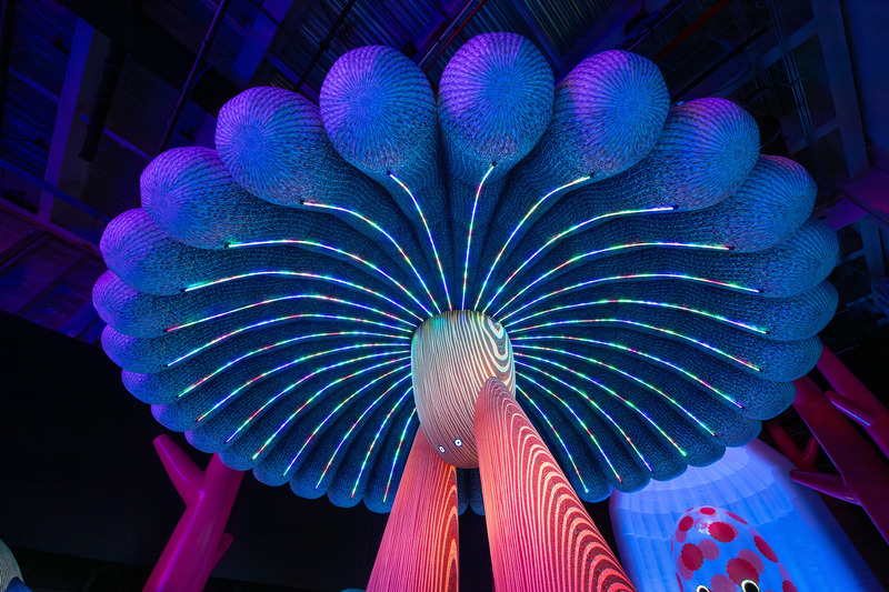 Dossier de presse | 7646-01 - Communiqué de presse | FRAME Exhibition of the Year: Modern Guru and the Path to Artificial Happiness by ENESS Continues its Global Odyssey - ENESS - Art - The flared skirt of the Forest Dancer, Taiwan - Crédit photo : Te-Fan Wang