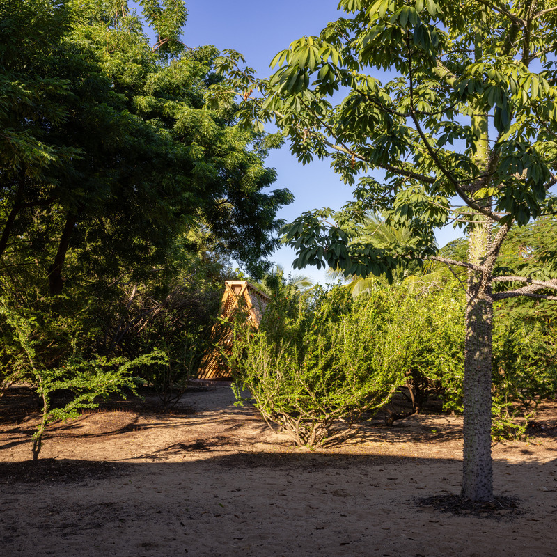 Press kit | 4200-01 - Press release | Orchid Pavilion for Casa Wabi - CCA | Bernardo Quinzaños - Landscape Architecture - Photo credit: Rafael Gamo