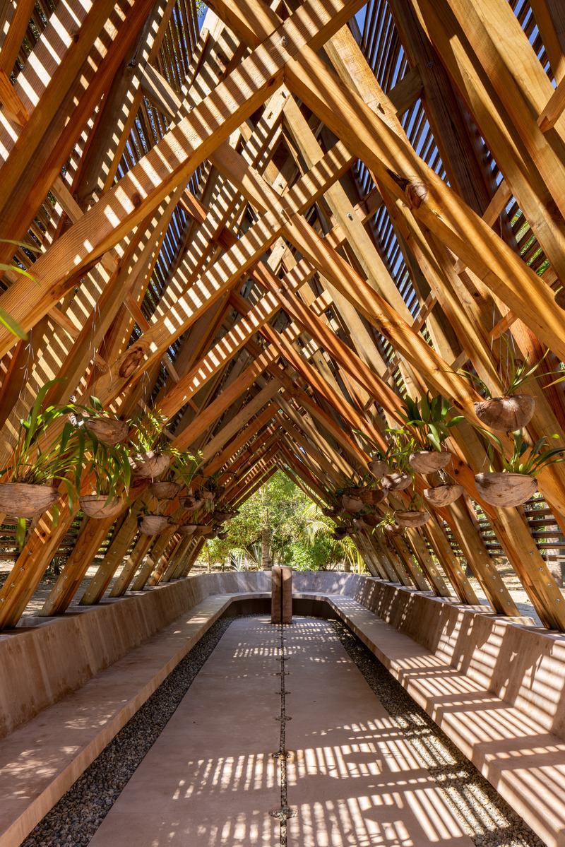 Press kit | 4200-01 - Press release | Orchid Pavilion for Casa Wabi - CCA | Bernardo Quinzaños - Landscape Architecture - Photo credit: <p>Rafael Gamo</p>