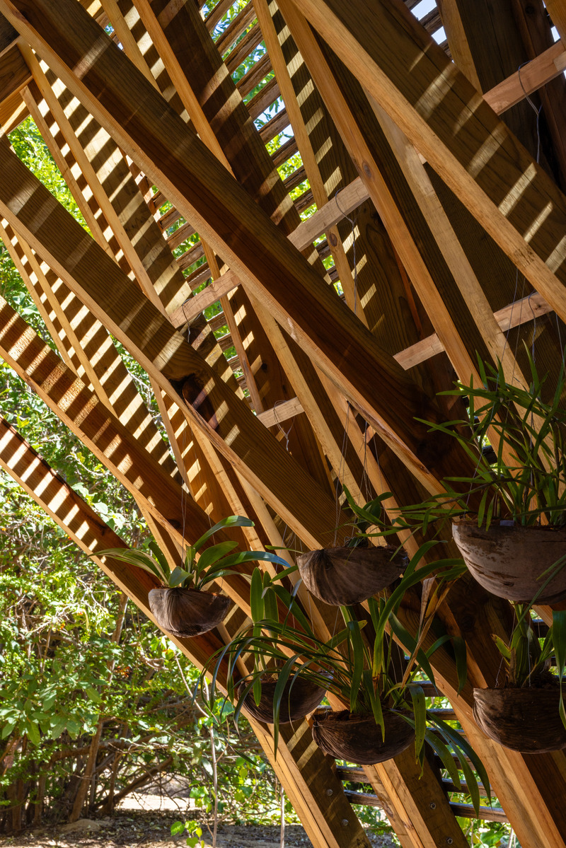 Press kit | 4200-01 - Press release | Orchid Pavilion for Casa Wabi - CCA | Bernardo Quinzaños - Landscape Architecture - Photo credit: Rafael Gamo