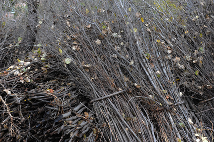 Press kit | 661-13 - Press release | 2012 Winners announcedDay one - World Architecture Festival (WAF) - Competition