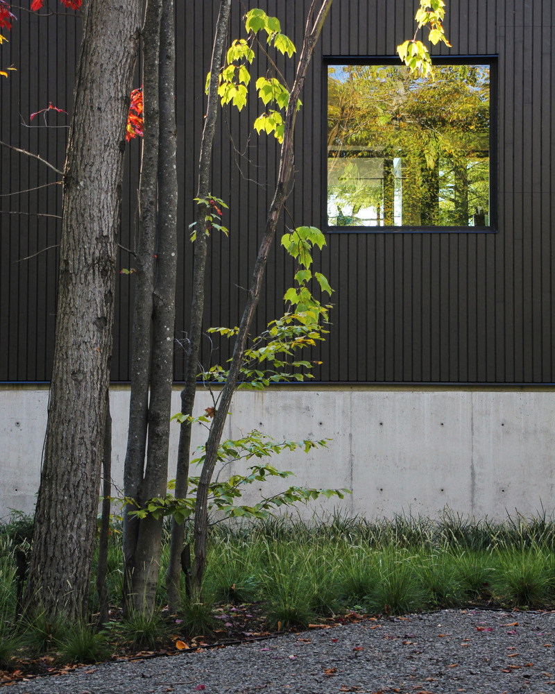 Dossier de presse | 7627-01 - Communiqué de presse | Entre lac et forêt - LOCUS architecture+design - Architecture résidentielle - Crédit photo : Christopher Malouf