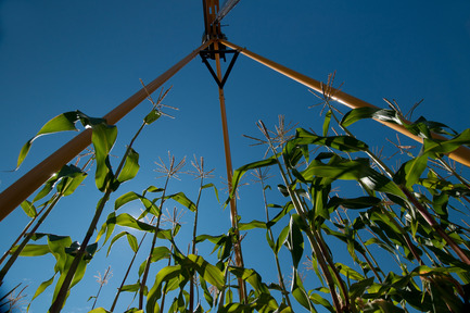 Press kit | 837-01 - Press release | The International Garden Festival 2011 - International Garden Festival / Reford Gardens - Landscape Architecture - Photo credit: Bascule