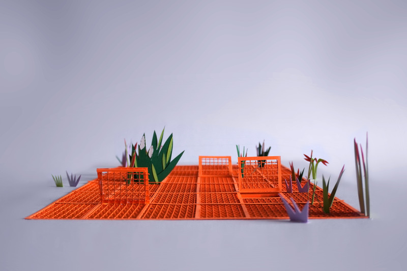 Press kit | 837-51 - Press release | The International Garden Festival Unveils the Projects Selected for its 26th Edition - International Garden Festival | Reford Gardens - Landscape Architecture - Peek-a-Boo - Photo credit: Hermine Demaël, Stephen Zimmerer
