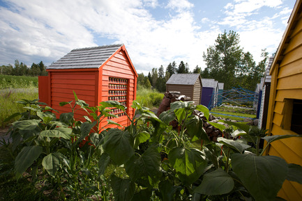 Press kit | 837-01 - Press release | The International Garden Festival 2011 - International Garden Festival / Reford Gardens - Landscape Architecture - Photo credit: Every Garden needs a shed and a lawn