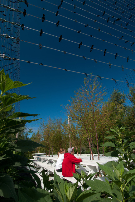 Press kit | 837-01 - Press release | The International Garden Festival 2011 - International Garden Festival / Reford Gardens - Landscape Architecture - Photo credit: Le bon arbre au bon endroit
