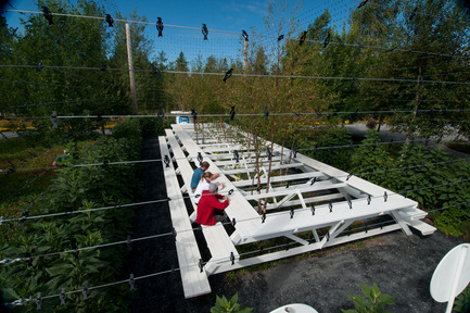 Press kit | 837-01 - Press release | The International Garden Festival 2011 - International Garden Festival / Reford Gardens - Landscape Architecture - Photo credit: Le bon arbre au bon endroit