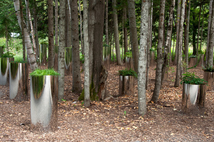 Press kit | 837-01 - Press release | The International Garden Festival 2011 - International Garden Festival / Reford Gardens - Landscape Architecture - Photo credit: Tiny Taxonomy