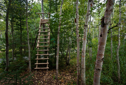 Press kit | 837-01 - Press release | The International Garden Festival 2011 - International Garden Festival / Reford Gardens - Landscape Architecture - Photo credit: Tree Stands