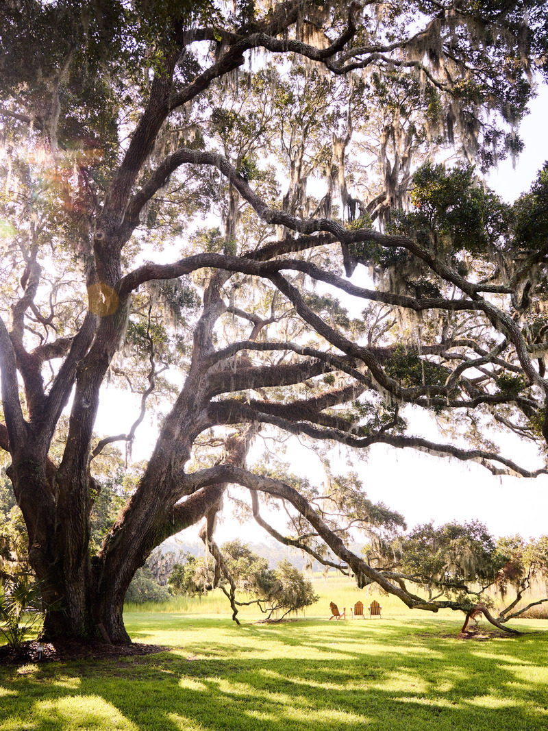 Dossier de presse | 2757-51 - Communiqué de presse | VITA Balances the Art of Contextual Design with the Stewardship of Place Shaping - VITA Planning & Landscape Architecture - Architecture de paysage -   <p class="">Kiawah River (Legacy Tree): The community is set among heritage live oaks—an evergreen species native to the Southeastern coast of the United States. VITA provided a range of services from envisioning and master planning to design guidelines, landscape architecture and lot diagrams.</p>   - Crédit photo : Image Courtesy of Kiawah River