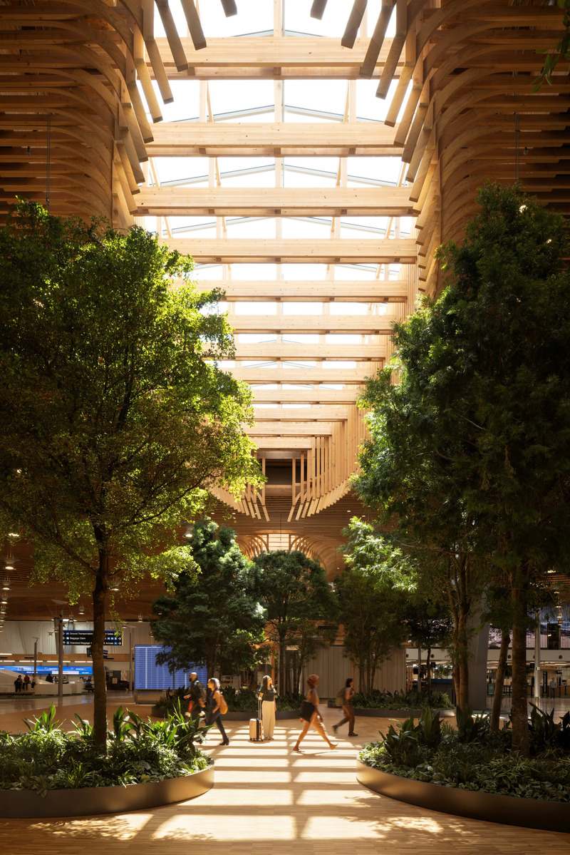 Dossier de presse | 7501-07 - Communiqué de presse | Build the Future: Submissions Are Now Open for the BLT Built Design Awards 2025 - 3C Awards - Concours - PDX Airport Main Terminal – A Walk in The Oregon Forest, PLACE<br style=""> - Crédit photo : Ema Peter Photography, Celeste Noche, Dror Baldinger