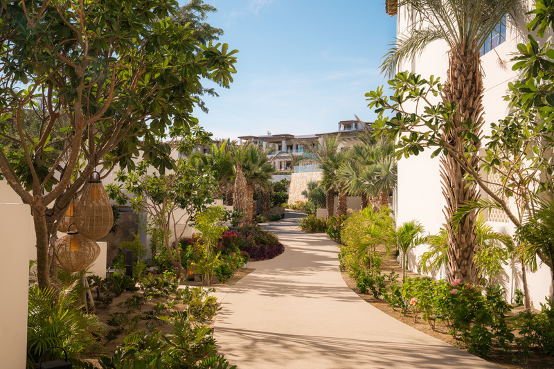 Dossier de presse | 2757-51 - Communiqué de presse | VITA Balances the Art of Contextual Design with the Stewardship of Place Shaping - VITA Planning & Landscape Architecture - Architecture de paysage -    <p class="" style="">Cabo del Sol (Landscaped Path): Meandering throughout the hacienda-style village, 'green corridors' feature large scale Date Palms—which help create a more human-scale experience of the architecture, while providing dappled shade—as well as flowering trees, shrubs and mid-story palms.</p>    - Crédit photo : Joe Thomas