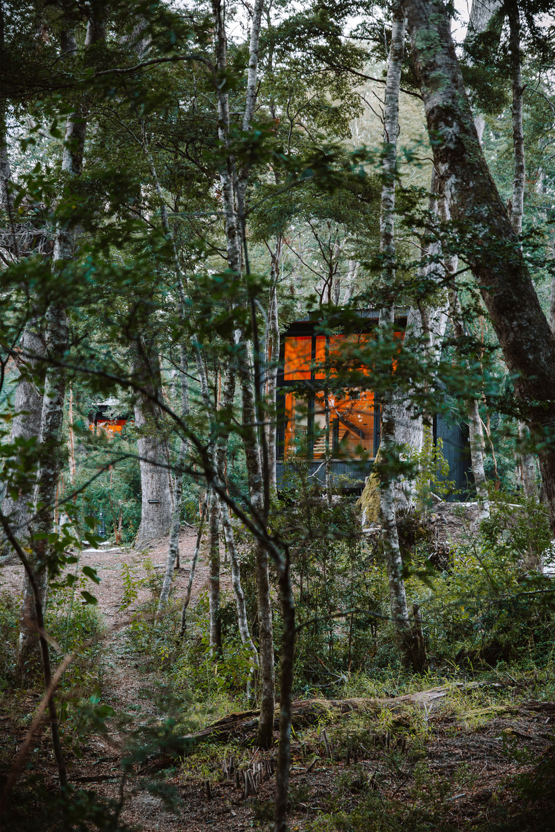 Press kit | 7686-01 - Press release | Casa Gallareta - OJA (Organic & Joyful Architecture) - Residential Architecture - Photo credit: Abril Roffo