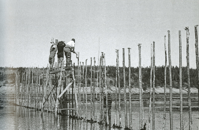 Dossier de presse | 1640-02 - Communiqué de presse | L’intelligence collective au cœur de l’adaptation à la Biennale d’architecture de Venise : L’Atelier Pierre Thibault et des résidents de l’Île Verte réinventent les boucaneries - Atelier Pierre Thibault - Évènement + Exposition - La pêche à la fascine était pratiquée autrefois sur l'Île Verte. La pêche et fumage du poisson étaient une activité économique et culturelle importante sur l’Île Verte. - Crédit photo : Jean-Marie Cossette