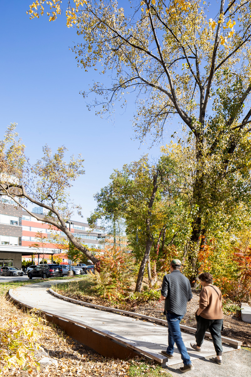 Press kit | 2366-06 - Press release | Parc des Gorilles: Not Quite Your Ordinary Park - civiliti - Landscape Architecture - Footbridge allowing passage over the former right-of-way, now an integral part of the bioretention area  - Photo credit: Adrien Williams