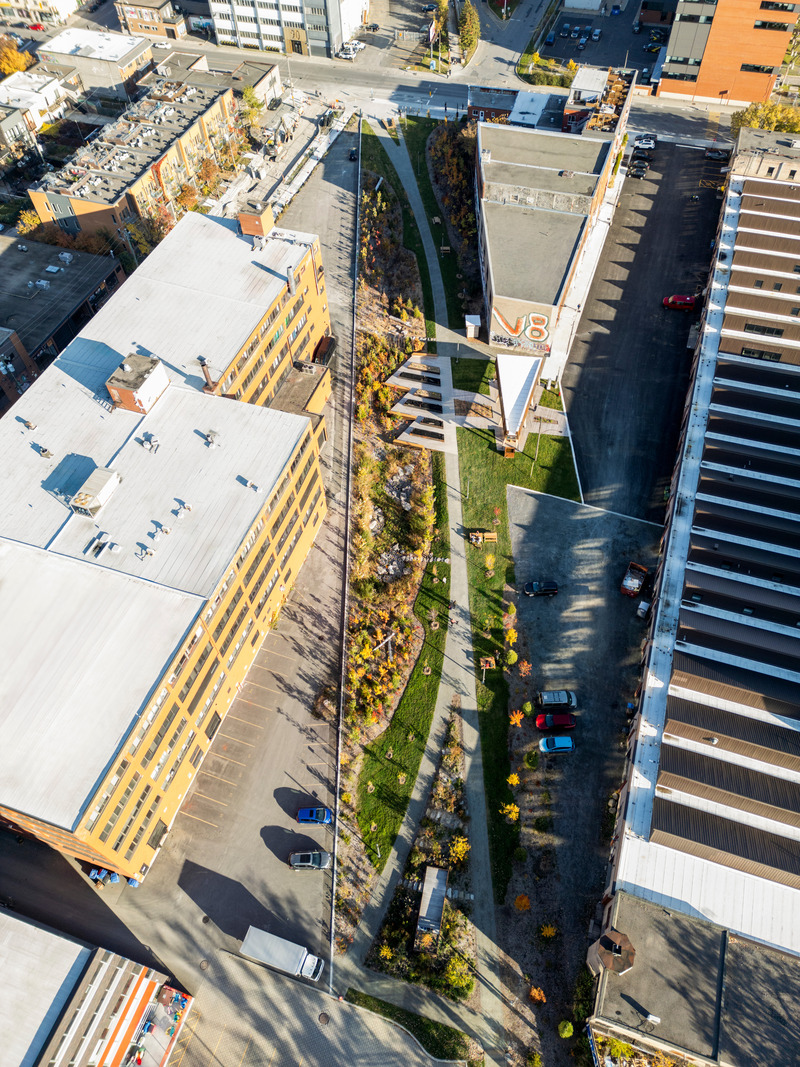 Press kit | 2366-06 - Press release | Parc des Gorilles: Not Quite Your Ordinary Park - civiliti - Landscape Architecture -   Aerial view showing the micro-forest planted near the park's southern entrance, along Beaubien Street    - Photo credit: Adrien Williams