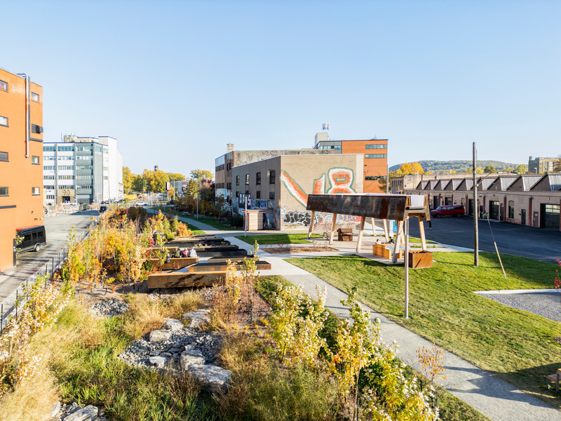 Press kit | 2366-06 - Press release | Parc des Gorilles: Not Quite Your Ordinary Park - civiliti - Landscape Architecture -  Central view of parc des Gorilles, with bioretention area in the foreground  - Photo credit: Adrien Williams