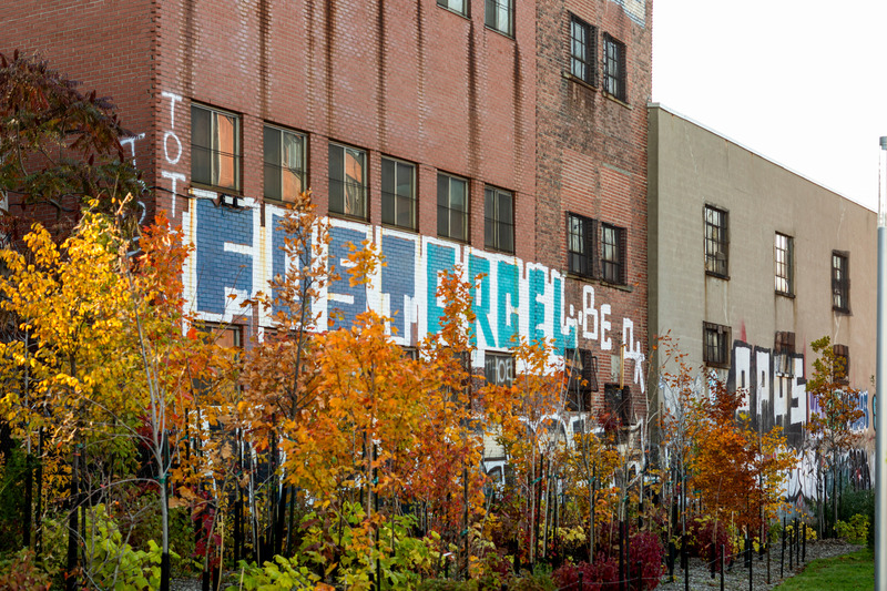 Press kit | 2366-06 - Press release | Parc des Gorilles: Not Quite Your Ordinary Park - civiliti - Landscape Architecture -  Newly planted trees along the façades of former factories with their strong graffiti - Photo credit: Adrien Williams