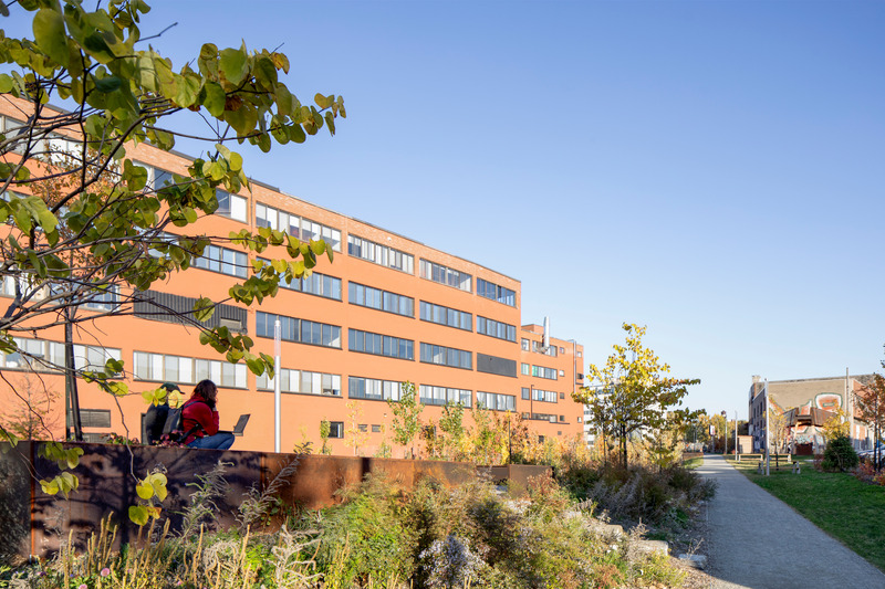 Press kit | 2366-06 - Press release | Parc des Gorilles: Not Quite Your Ordinary Park - civiliti - Landscape Architecture -  Newly planted fruit trees and species attracting pollinators with "lost wagon" in the foreground - Photo credit:  Adrien Williams 
