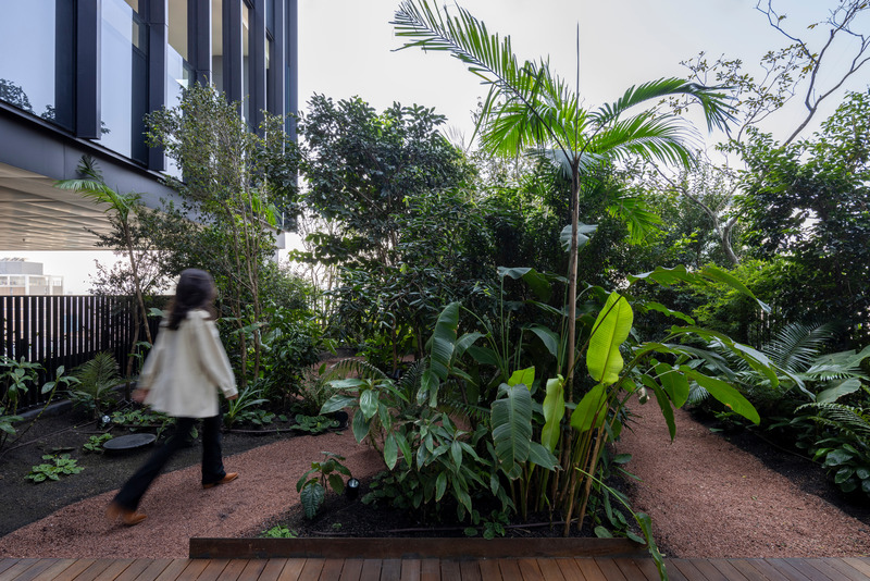Press kit | 7704-01 - Press release | A Forest Rises in São Paulo — Vertically - aflalo/gasperini arquitetos - Real Estate - Photo credit: Maira Acayaba