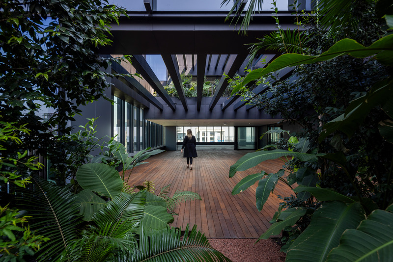 Press kit | 7704-01 - Press release | A Forest Rises in São Paulo — Vertically - aflalo/gasperini arquitetos - Real Estate - Photo credit: Maira Acayaba
