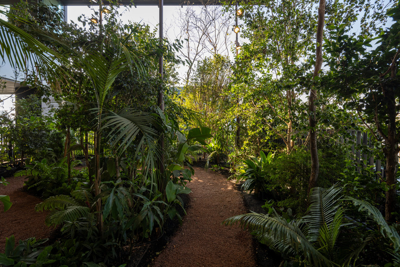 Press kit | 7704-01 - Press release | A Forest Rises in São Paulo — Vertically - aflalo/gasperini arquitetos - Real Estate - Photo credit: Maira Acayaba