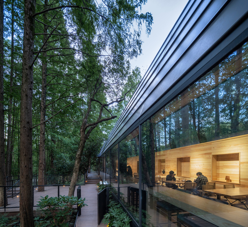 Press kit | 7710-01 - Press release | Dongmingshan Senyu Hotel: A Minimally Invasive Forest Resort in Hangzhou - GLA Architects - Commercial Architecture - Reception Center - Photo credit: Chen Xi Studio