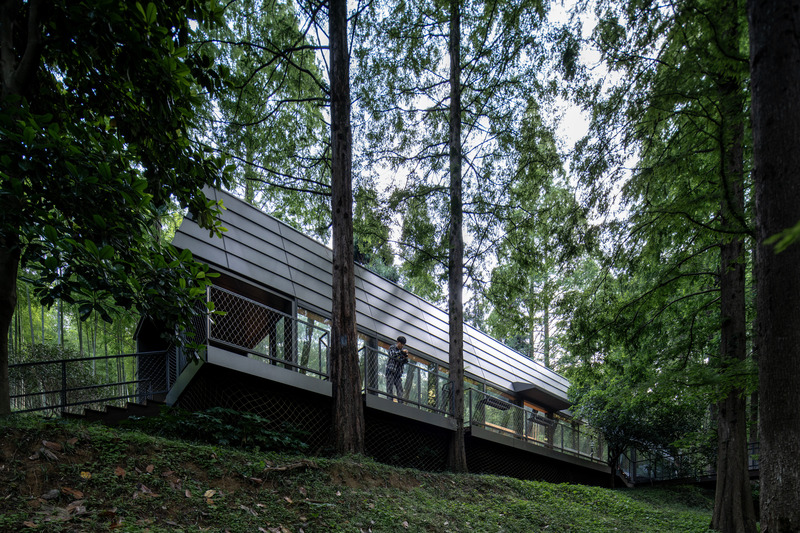 Press kit | 7710-01 - Press release | Dongmingshan Senyu Hotel: A Minimally Invasive Forest Resort in Hangzhou - GLA Architects - Commercial Architecture - Reception Center - Photo credit: Chen Xi Studio