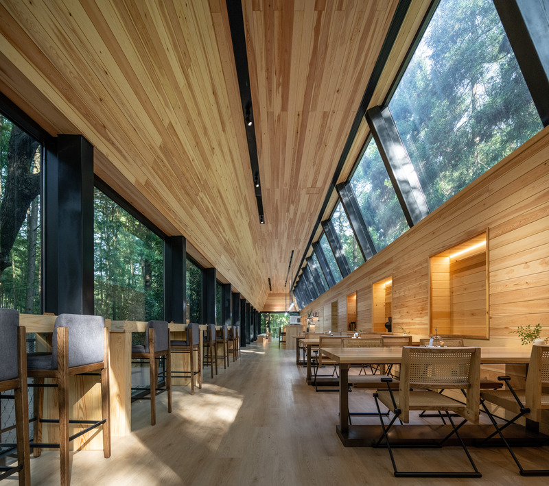 Press kit | 7710-01 - Press release | Dongmingshan Senyu Hotel: A Minimally Invasive Forest Resort in Hangzhou - GLA Architects - Commercial Architecture - Reception Center - Photo credit: Chen Xi Studio