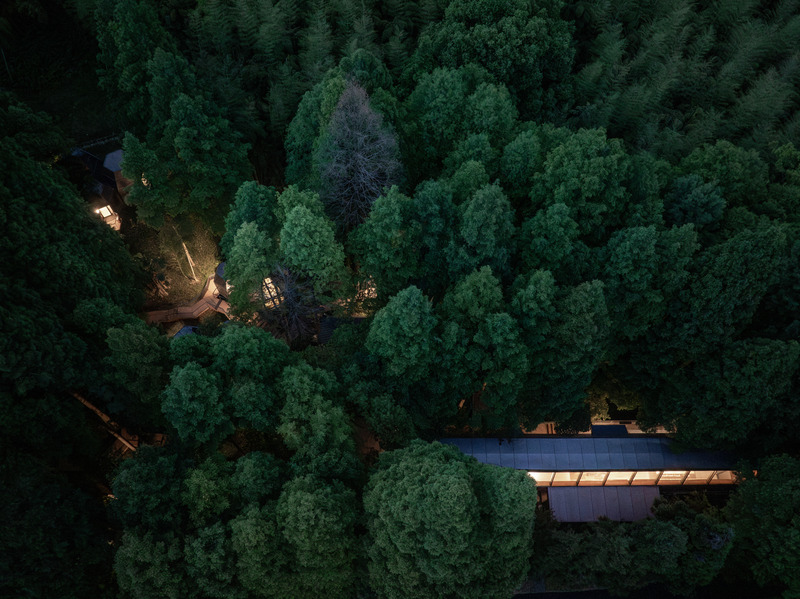 Press kit | 7710-01 - Press release | Dongmingshan Senyu Hotel: A Minimally Invasive Forest Resort in Hangzhou - GLA Architects - Commercial Architecture - Reception Center - Photo credit: Chen Xi Studio