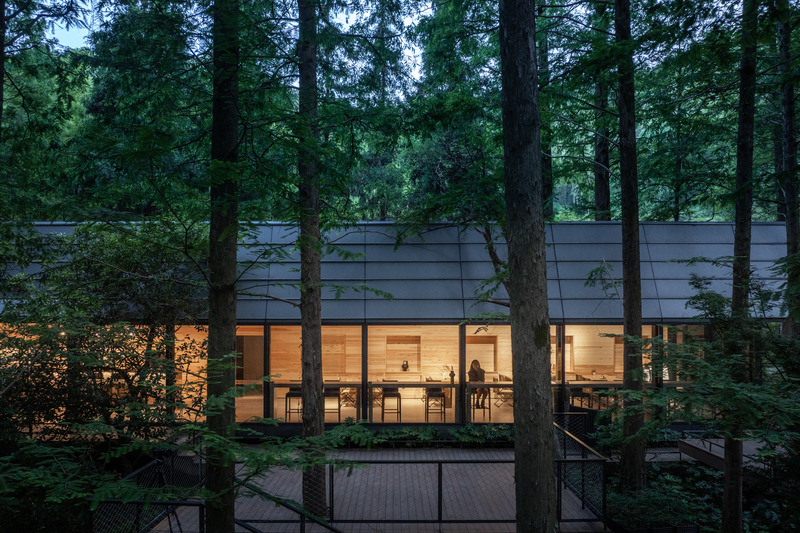 Press kit | 7710-01 - Press release | Dongmingshan Senyu Hotel: A Minimally Invasive Forest Resort in Hangzhou - GLA Architects - Commercial Architecture - Reception Center - Photo credit: Chen Xi Studio