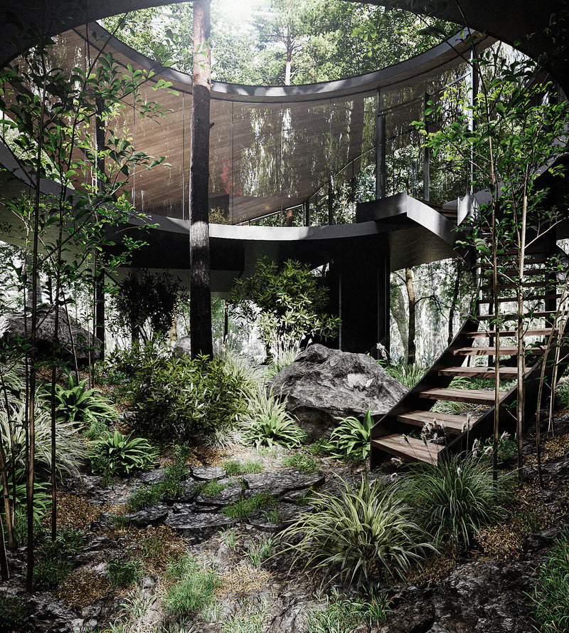 Press kit | 7709-01 - Press release | Forest Within – A Retreat in Kitakaruizawa - inspatia - Residential Architecture - The 'Forest Valley" with native planting and elevated roof above - Photo credit: inspatia