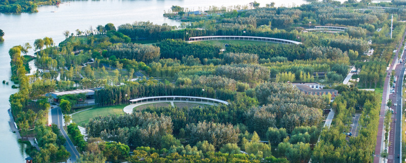 Dossier de presse | 2696-05 - Communiqué de presse | Sponge Synergy: The Huaiyang Fuxi Cultural Park - Turenscape - Architecture de paysage - <p class="">Islands' dense trees contrast with open lawns by the lake for varied activities </p> - Crédit photo : Turenscape