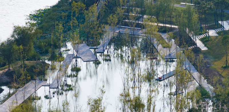 Dossier de presse | 2696-05 - Communiqué de presse | Sponge Synergy: The Huaiyang Fuxi Cultural Park - Turenscape - Architecture de paysage - <p class="">The bio-water purification system is intricately woven into the landscape, with roof-mounted solar panels providing the necessary energy</p> - Crédit photo : Turenscape