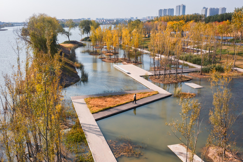 Dossier de presse | 2696-05 - Communiqué de presse | Sponge Synergy: The Huaiyang Fuxi Cultural Park - Turenscape - Architecture de paysage - <p class="">The bio-water purification system is intricately woven into the landscape, with roof-mounted solar panels providing the necessary energy</p> - Crédit photo : Turenscape
