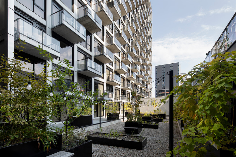 Dossier de presse | 1317-24 - Communiqué de presse | Griffin Square : une signature urbaine pour le Griffintown de demain - ACDF Architecture - Architecture résidentielle - Terrasse basse - Crédit photo : Adrien Williams