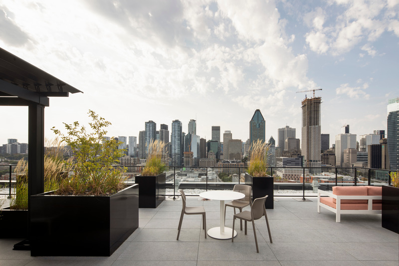 Dossier de presse | 1317-24 - Communiqué de presse | Griffin Square : une signature urbaine pour le Griffintown de demain - ACDF Architecture - Architecture résidentielle - terrasse en toiture - Crédit photo : Adrien Williams