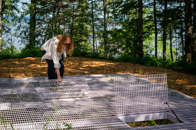 Dossier de presse | 837-52 - Communiqué de presse | Inauguration de la 26e édition du Festival international de jardins - Festival international de jardins | Jardins de Métis - Architecture de paysage - Hermine Demaël + Stephen Zimmerer, « Peek-a-Boo », 2025 - Crédit photo : Martin Bond