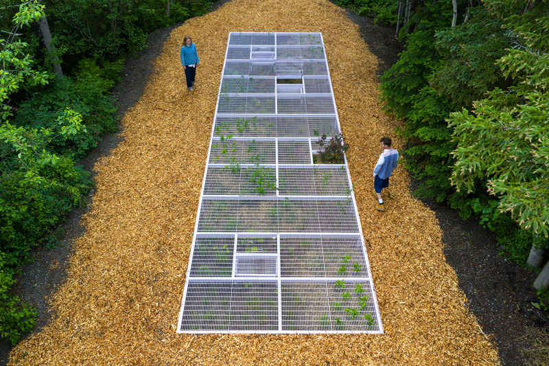 Dossier de presse | 837-52 - Communiqué de presse | Inauguration de la 26e édition du Festival international de jardins - Festival international de jardins | Jardins de Métis - Architecture de paysage - Hermine Demaël + Stephen Zimmerer, « Peek-a-Boo », 2025 - Crédit photo : Martin Bond