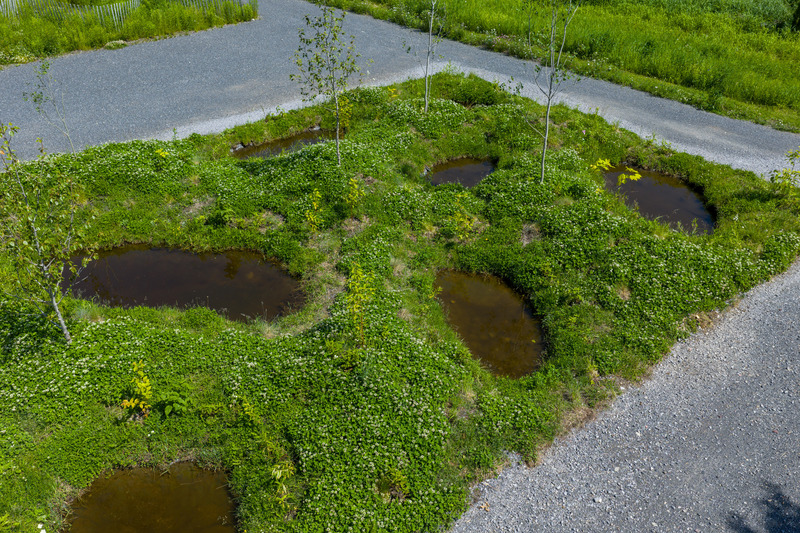 Dossier de presse | 837-52 - Communiqué de presse | Inauguration de la 26e édition du Festival international de jardins - Festival international de jardins | Jardins de Métis - Architecture de paysage - Michael Hyttel Thorø, « Scars of Conflict », 2025 - Crédit photo : Martin Bond