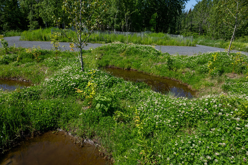 Dossier de presse | 837-52 - Communiqué de presse | Inauguration de la 26e édition du Festival international de jardins - Festival international de jardins | Jardins de Métis - Architecture de paysage - Michael Hyttel Thorø, « Scars of Conflict », 2025 - Crédit photo : Martin Bond