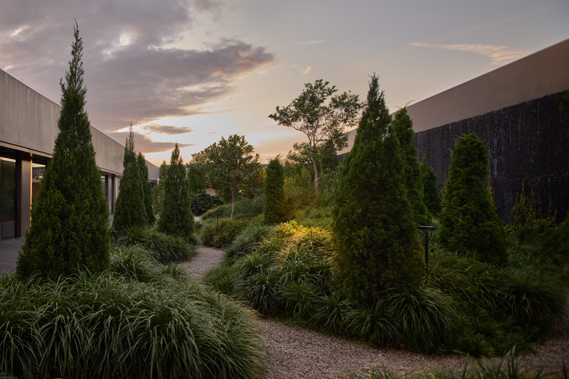 Dossier de presse | 7713-01 - Communiqué de presse | Un entre-deux subtil - Monolab Studio - Architecture industrielle - Jardin sur le Toit - Crédit photo : <p>Finbarr Fallon</p>