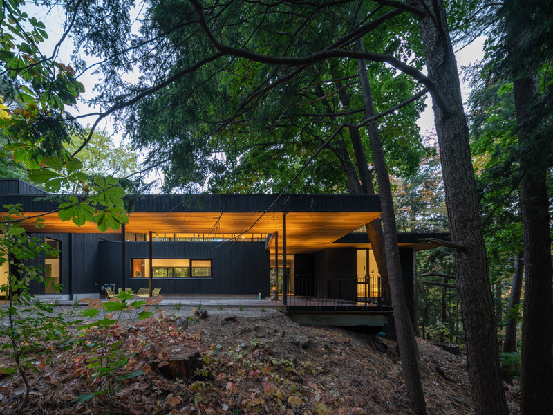 Dossier de presse | 7706-01 - Communiqué de presse | Ravine House - Orangeink Design - Architecture résidentielle - Crédit photo : Scott Norsworthy